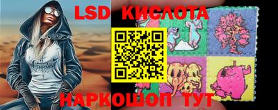 стафф Краснознаменск