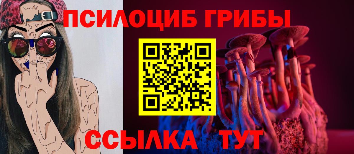 Псилоцибиновые грибы ЛСД  Псилоцибиновые грибы Cubensis  Вход с VPN  Тайшет 